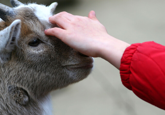 Tierpark Nordhorn